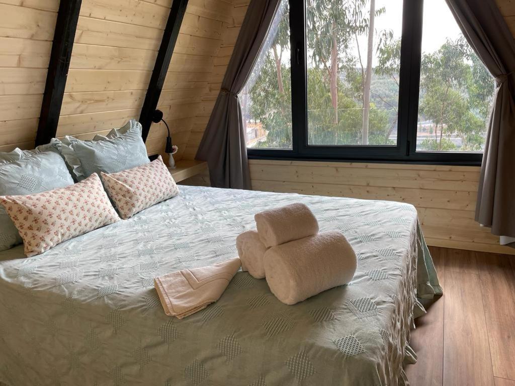 Medronho D'Ouro Bungalows Foz do Sousa Экстерьер фото